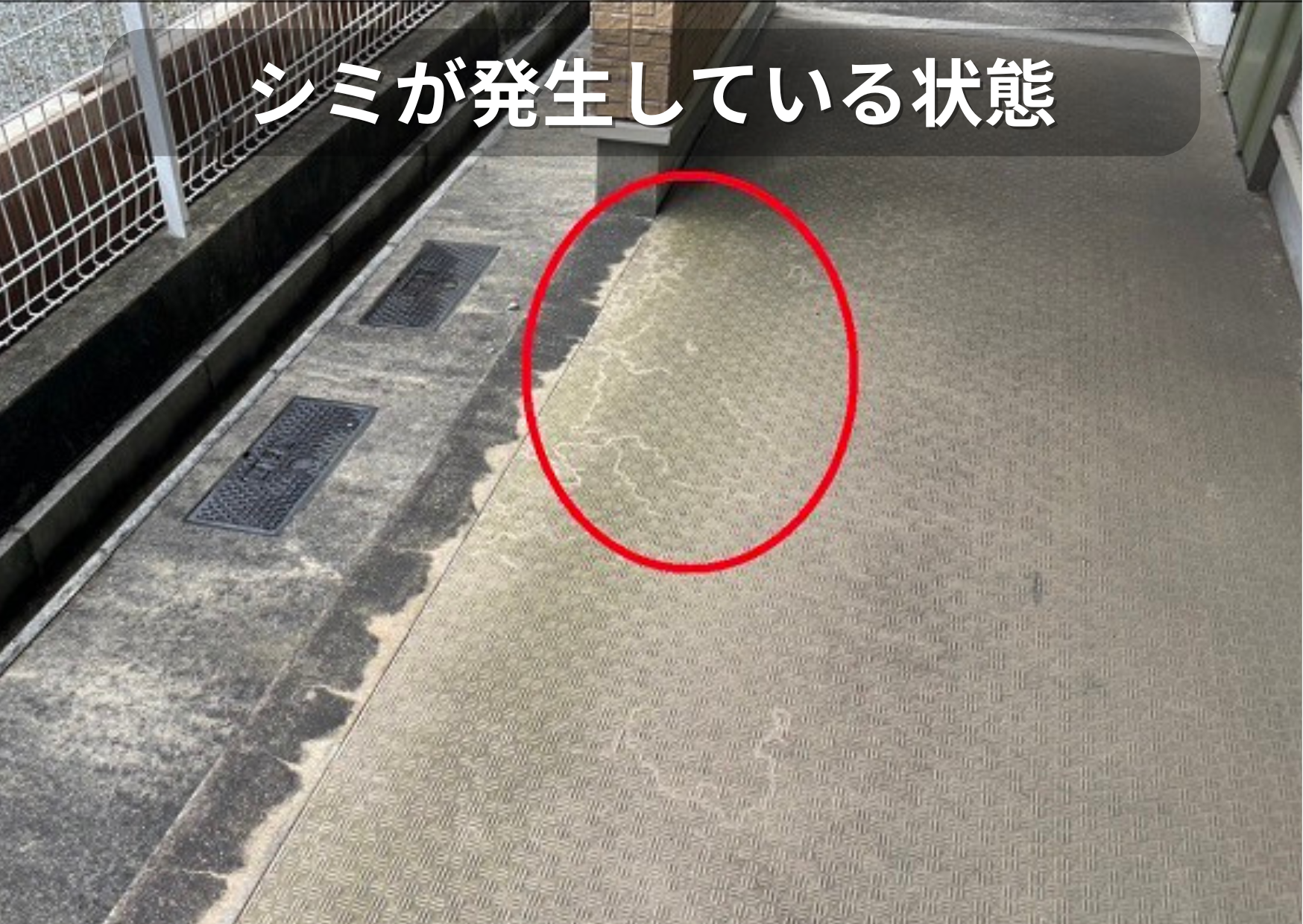 共用廊下の長尺シートにシミが発生している様子